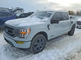 2023 Ford F-150 1FTFW1ED3PFB33806 Lot 73524375