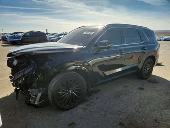 2025 Hyundai Palisade KM8R7DGE8SU818983 Lot 78647395
