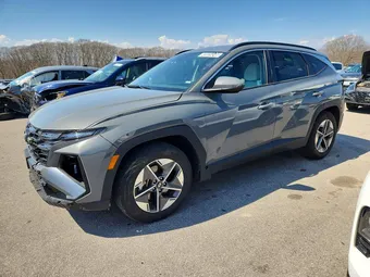 2025 Hyundai Tucson 5NMJB3DEXSH491122 Lot 49826246
