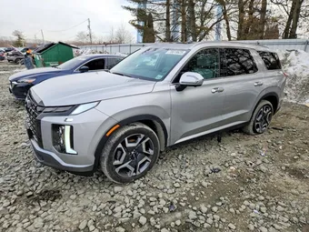 2025 Hyundai Palisade KM8R4DGE3SU812288 Lot 78819625