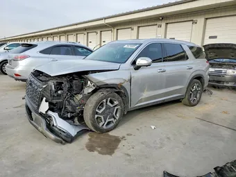 2025 Hyundai Palisade KM8R4DGE6SU824600 Lot 78476065