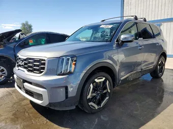 2025 Kia Telluride 5XYP6DGC7SG585564 Lot 49017316