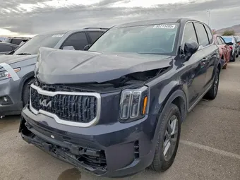 2025 Kia Telluride 5XYP24GC7SG595717 Lot 98713495
