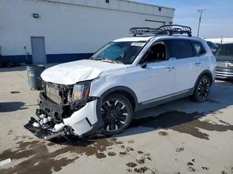 2025 Kia Telluride 5XYP5DGC2SG594191 Lot 99392485