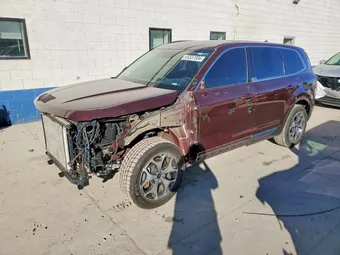 2021 Kia Telluride 5XYP3DHC7MG148867 Lot 46337006
