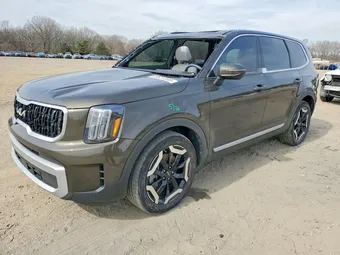 2024 Kia Telluride 5XYP3DGC9RG426256 Lot 78521355