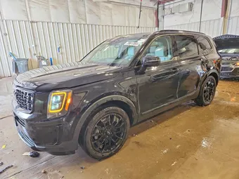 2022 Kia Telluride 5XYP3DHC6NG236441 Lot 79617895