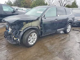 2022 Kia Telluride 5XYP24HC4NG238370 Lot 46116456
