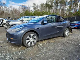 2020 Tesla Model Y 5YJYGDEE6LF030300 Lot 46151086