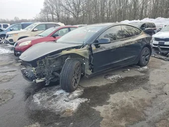 2019 Tesla Model 3 5YJ3E1EB9KF414736 Lot 75244665