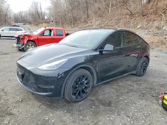 2025 Tesla Model Y 7SAYGAEE5SF243027 Lot 45631686