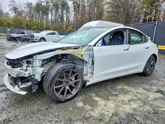 2021 Tesla Model 3 5YJ3E1EA3MF097501 Lot 79531465