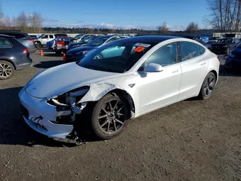 2019 Tesla Model 3 5YJ3E1EB1KF408316 Lot 78447815