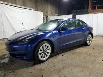2023 Tesla Model 3 5YJ3E1EA4PF446881 Lot 77562975