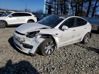 2023 Tesla Model Y 7SAYGDEE8PA173058 Lot 45565016