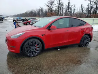 2023 Tesla Model Y 7SAYGDEF7PF967979 Lot 79759585
