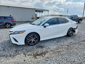 2019 Toyota Camry 4T1B11HK3KU856434 Lot 46716896