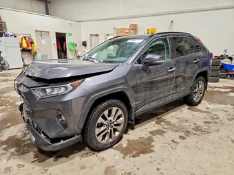 2019 Toyota RAV4 2T3D1RFV7KW040211 Lot 77006565