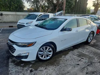 2020 Chevrolet Malibu 1G1ZD5ST6LF036401 Lot 79488455