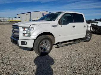 2016 Ford F-150 1FTEW1CG1GFA37181 Lot 78049615