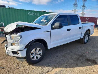2015 Ford F-150 1FTEW1E89FKE13895 Lot 78619765