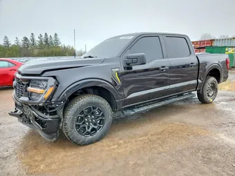 2025 Ford F-150 1FTEW2LP7SKE65777 Lot 49793426