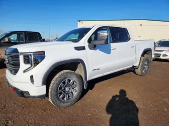 2025 GMC Sierra 1500 3GTUUEEL7SG314801 Lot 49159606