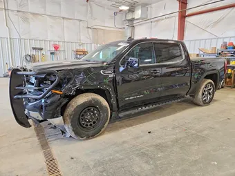 2024 GMC Sierra 1500 3GTPUBEKXRG428613 Lot 46365596