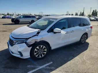 2024 Honda Odyssey 5FNRL6H65RB008264 Lot 74606565