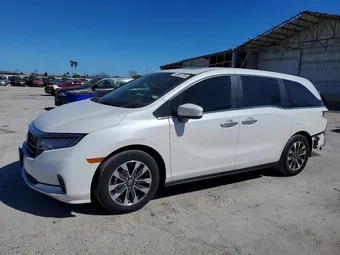 2024 Honda Odyssey 5FNRL6H66RB012355 Lot 46902786