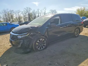 2022 Honda Odyssey 5FNRL6H72NB003655 Lot 49465556