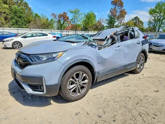 2020 Honda CR-V 2HKRW1H50LH409134 Lot 49296426