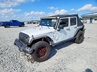 2015 Jeep Wrangler 1C4HJWDG3FL556966 Lot 48309806