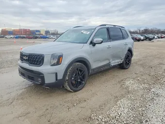 2024 Kia Telluride 5XYP5DGC4RG421153 Lot 73071485