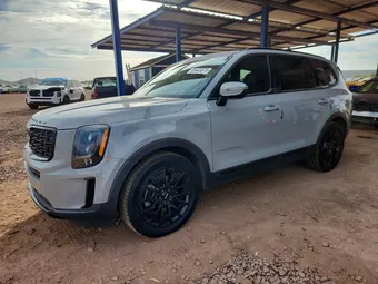 2022 Kia Telluride 5XYP5DHC1NG259314 Lot 49445876