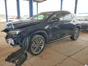 2025 Lexus NX 350H 2T2GKCEZ1SC032185 Lot 48808596