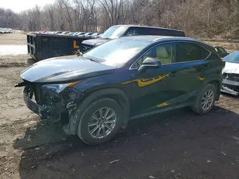 2021 Lexus NX 300 JTJDARDZ8M2251464 Lot 45734596