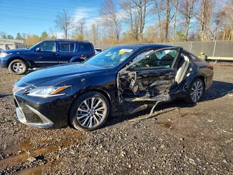 2019 Lexus ES 58ABZ1B17KU025536 Lot 46382886