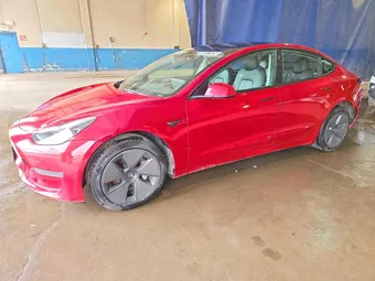2023 Tesla Model 3 5YJ3E1EA3PF449982 Lot 49647526