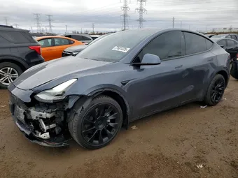 2020 Tesla Model Y 5YJYGDEE2LF034795 Lot 77681225