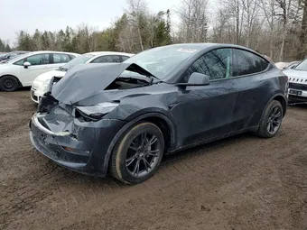 2024 Tesla Model Y 7SAYGDEE3RF203640 Lot 46069456