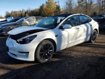 2023 Tesla Model 3 LRW3E1FA6PC843047 Lot 90606955
