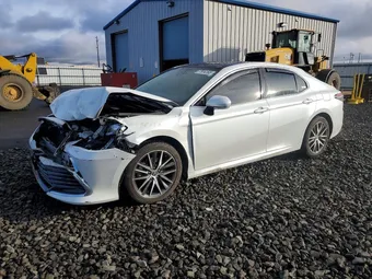 2023 Toyota Camry 4T1F11BK4PU101097 Lot 77914165