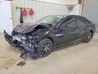 2024 Toyota Camry 4T1S31AK7RU631741 Lot 47322516