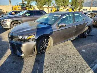 2019 Toyota Camry 4T1B11HK0KU716566 Lot 98420865