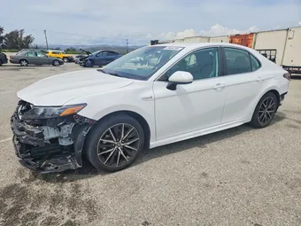 2021 Toyota Camry 4T1G31AK0MU026393 Lot 49404396