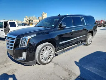 2019 Cadillac Escalade ESV 1GYS4KKJXKR313242