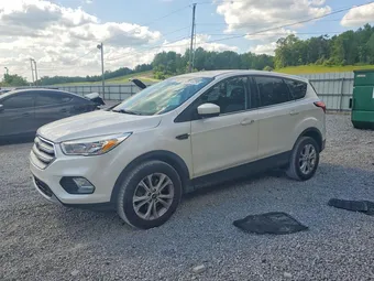 2019 Ford Escape 1FMCU9GD7KUA49492 Lot 49248256