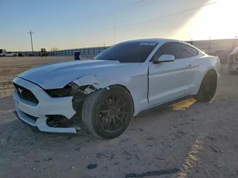 2017 Ford Mustang 1FA6P8TH8H5305224 Lot 95176515