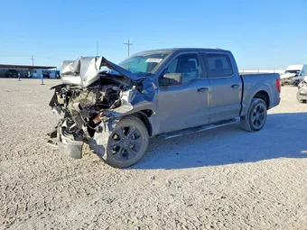 2022 Ford F-150 1FTEW1CP5NFA79589 Lot 46859076
